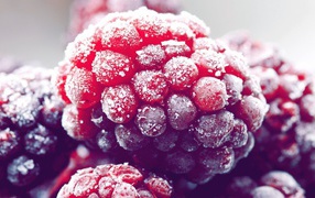 Иней на малине