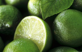 Листик на лаймах