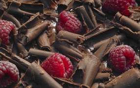 Малина среди шоколадной стружки