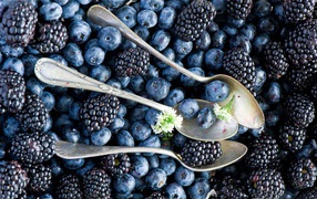 Spoons including blueberries and blackberries