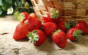 Strawberries in straw basket