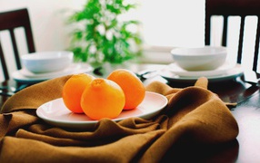 Three oranges on a white plate