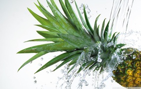 Water flows in the pineapple