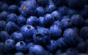Wet blueberries