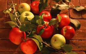 White and red apples among leaves