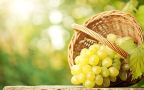 Белый виноград в плетеной корзинке