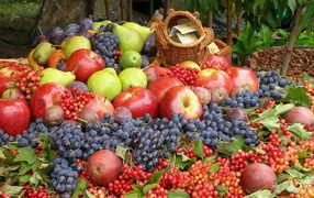 Гора фруктов и ягод