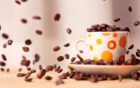 A cup with coffee beans