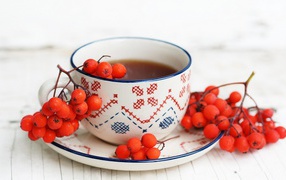 Согревающий отвар рябины