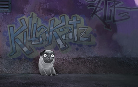 Собака около стены с надписью