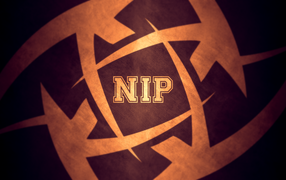 Аббревиатура игры Ninjas In Pyjamas