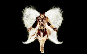 Ангел с белыми крыльями, игра Assassin's Creed