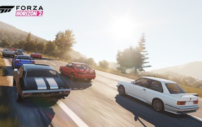 Компьютерная игра Forza Horizon 2