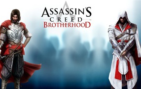 Постер видеоигры Assassin's Creed Brotherhood