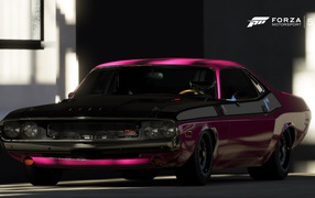 Симулятор Forza Motorsport 5