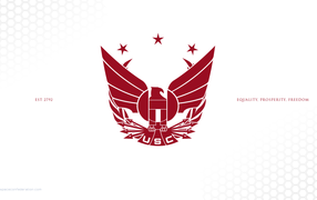 Символ космической конфедерации в игре Star Citizen