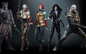 Разные персонажи игры The Witcher 3 Wild Hunt