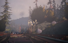 Мир игры Life Is Strange