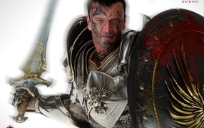 Герой игры Dragon Age Origins