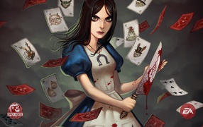 Главный герой игры American McGee’s Alice