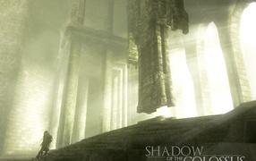 Видео игра Shadow of the Colossus