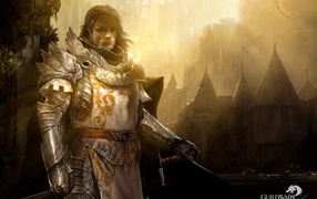 Воин из игры Guild Wars 2