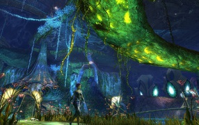 Мир игры Guild Wars