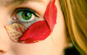 Осенние листья у глаза девушки