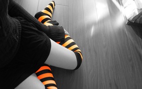 Черно оранжевые чулки на девушке