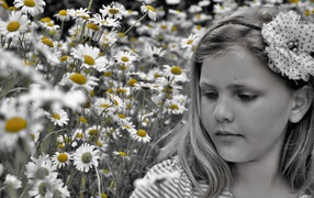 Черно белая девушка на фоне ромашек