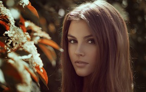 Девушка стоит у дерева