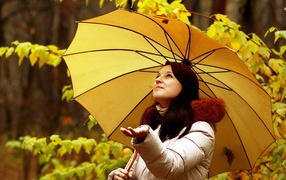 Милая девушка ловит капли осеннего дождя