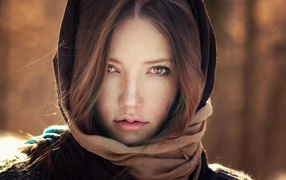 Модель Шон Арчер