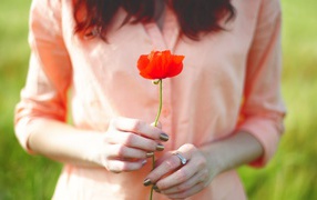 Poppy in the hands of the girl