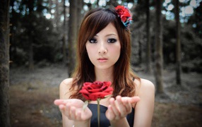 Роза парит в руках у девушки