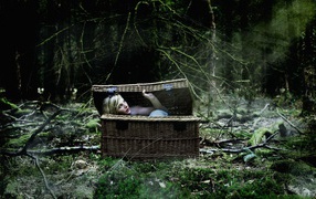 Блондинка в корзине в лесу