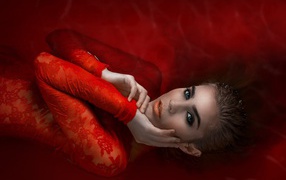 Девушка в красном кружевном платье на красном фоне