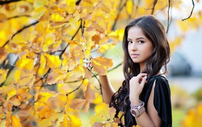 Молодая брюнетка у осеннего дерева