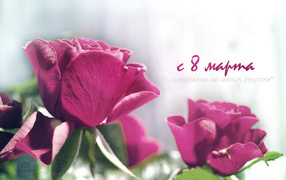 С праздником весны 8 марта, милые девушки