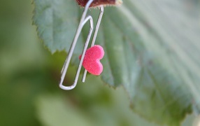 Скрепка с сердцем на зеленом листике