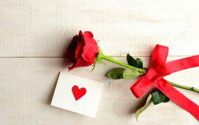 Rose and a love note