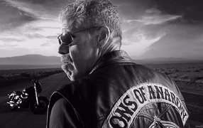 Байкер на дороге, Сыны анархии