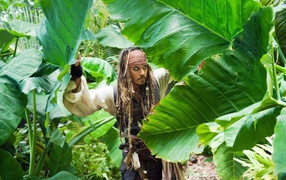 Капитан Джек Воробей пробирается сквозь джунгли