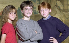 Гарри Поттер и его банда