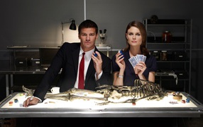 Главные герои сериала Кости