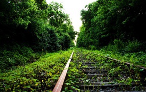 Abandoned railway lin