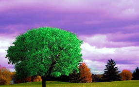 Bright green tree on autumn background
