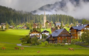 Cows on pasture alpine village
