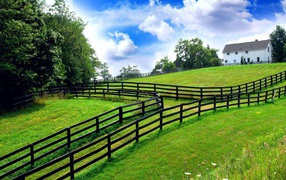 Fences on the property border