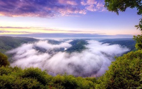 Туман над покрытыми густым лесом горами